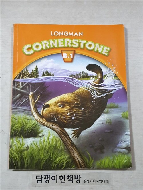 [중고] Longman Cornerstone Level B.1: Student Book (Spilt Edition, Paperback)