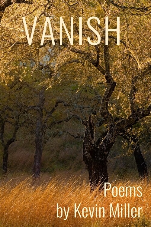 Vanish (Paperback)