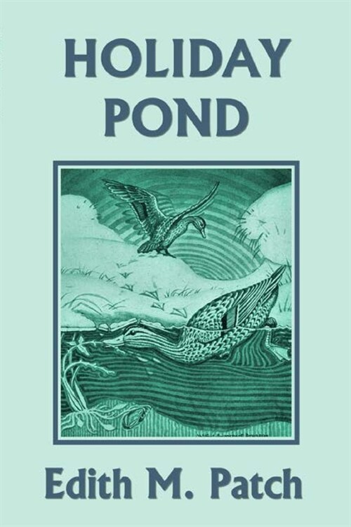 Holiday Pond (Yesterdays Classics) (Paperback)
