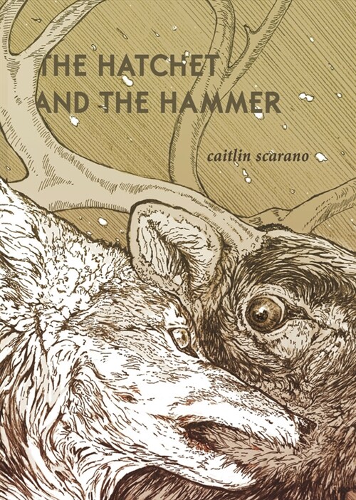 The Hatchet and the Hammer (Paperback)