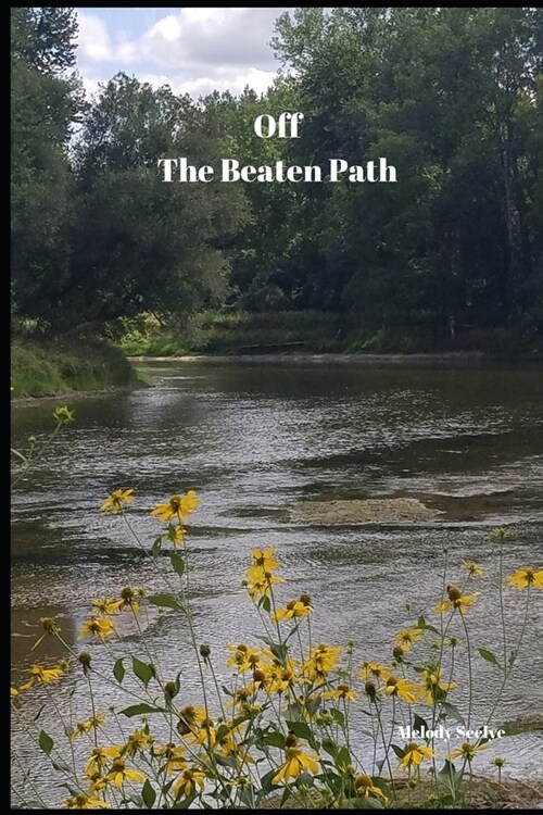 Off The Beaten Path: 4 year Blood Glucose Tracker (Paperback)