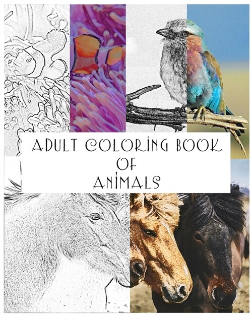 Adult Coloring Book of Animals: 38 Coloring pages of various animals (Paperback)