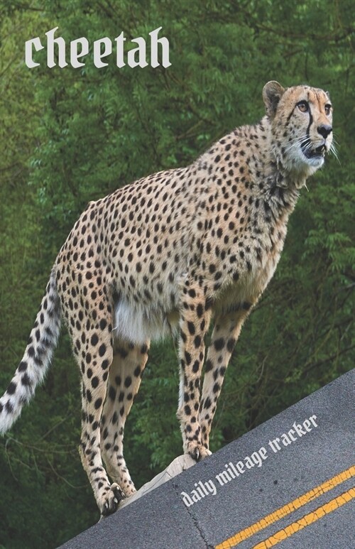 Cheetah. Daily Mileage Tracker.: Car Odometer Pocket Log Book. (Paperback)