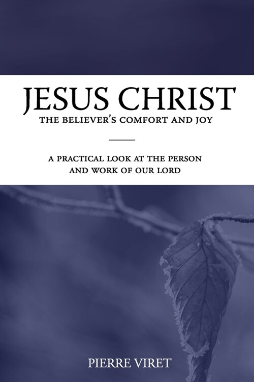 Jesus Christ the Believers Comfort and Joy: A practical look at the person and work of our Lord (Paperback)