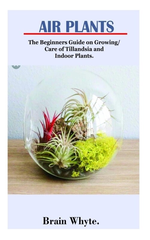 Air Plant: The Beginners Guide on Growing/ Care of Tillandsia and indoors Plant (Paperback)
