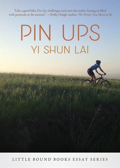 Pin Ups (Paperback)