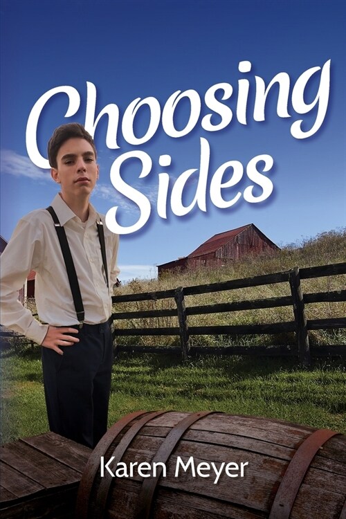 Choosing Sides (Paperback)