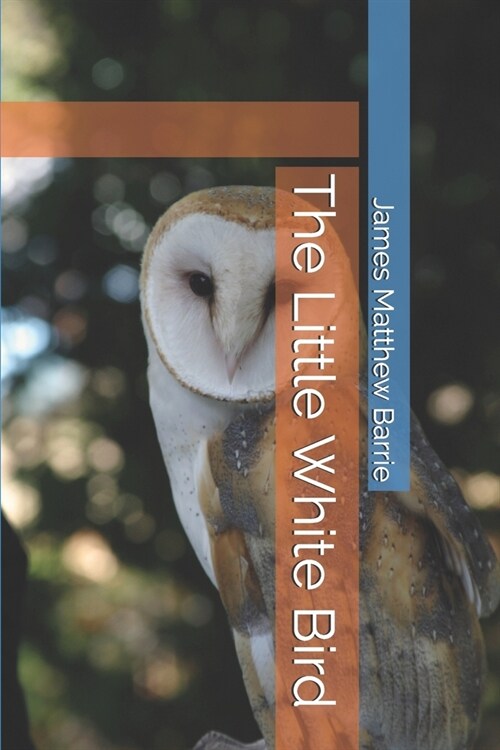 The Little White Bird (Paperback)