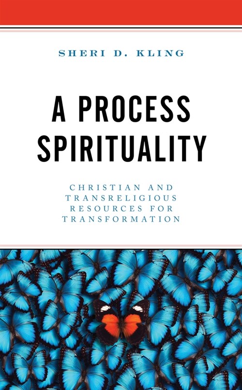 A Process Spirituality: Christian and Transreligious Resources for Transformation (Hardcover)