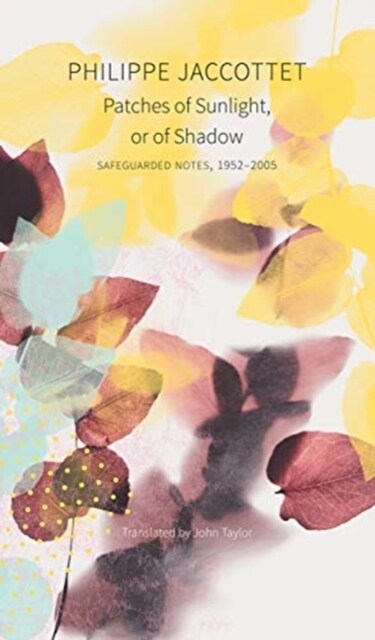 Patches of Sunlight, Or of Shadow : Safeguarded Notes, 1952–2005 (Hardcover)