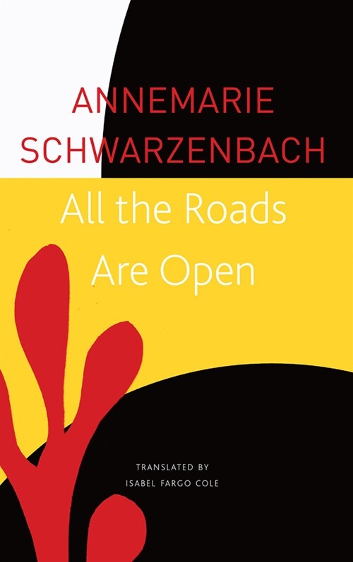 All the Roads Are Open : The Afghan Journey (Paperback)