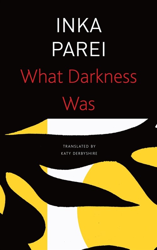 What Darkness Was (Paperback)