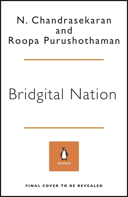 Bridgital Nation : Solving Technologys People Problem (Hardcover)