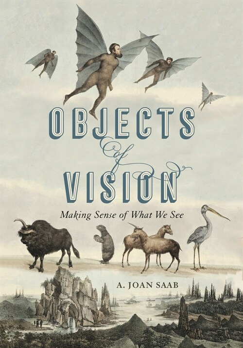 Objects of Vision: Making Sense of What We See (Hardcover)