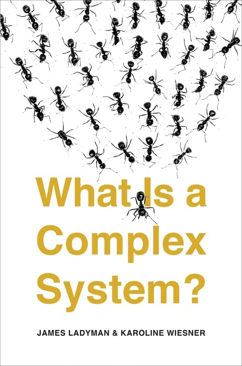 What Is a Complex System? (Paperback)
