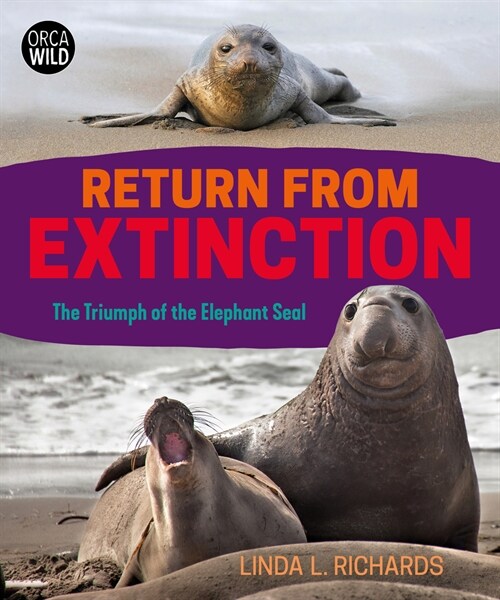 Return from Extinction: The Triumph of the Elephant Seal (Hardcover)