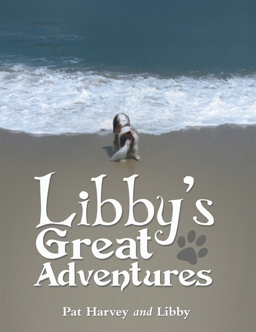 Libbys Great Adventures (Paperback)