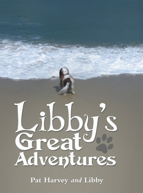 Libbys Great Adventures (Hardcover)