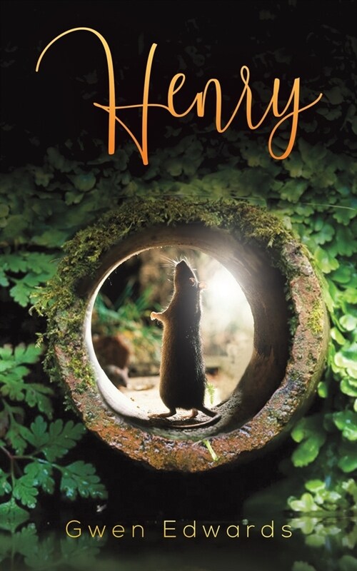 Henry (Paperback)