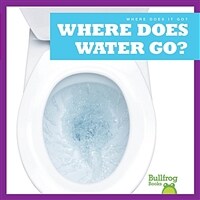 Where Does Water Go? (Paperback)