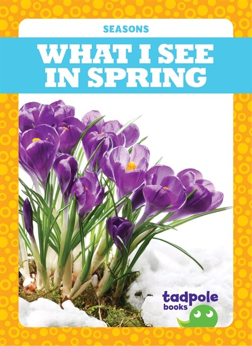 What I See in Spring (Paperback)