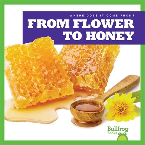 From Flower to Honey (Paperback)