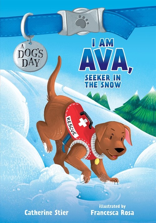 I Am Ava, Seeker in the Snow: Volume 2 (Paperback)