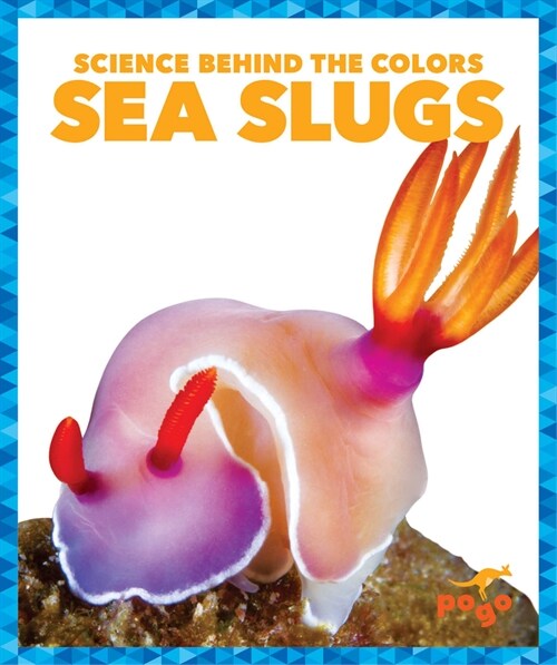 Sea Slugs (Library Binding)