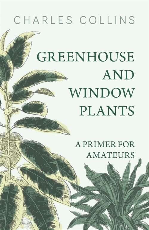 Greenhouse and Window Plants - A Primer for Amateurs (Paperback)