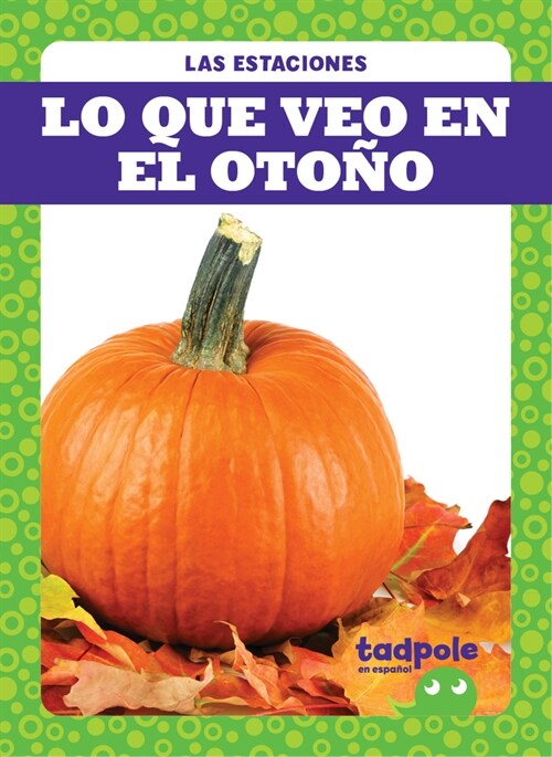 Lo Que Veo En El Oto? (What I See Fall) (Paperback)