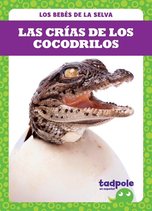 Las Cr?s de Los Cocodrilos (Crocodile Hatchlings) (Library Binding)