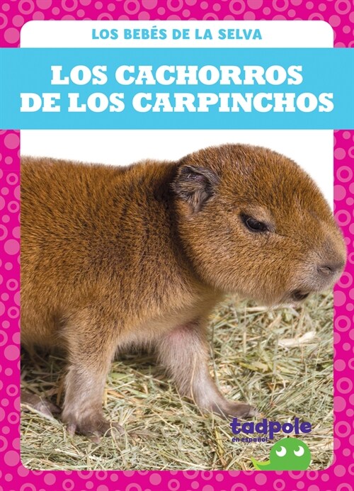 Los Cachorros de Los Carpinchos (Capybara Pups) (Library Binding)