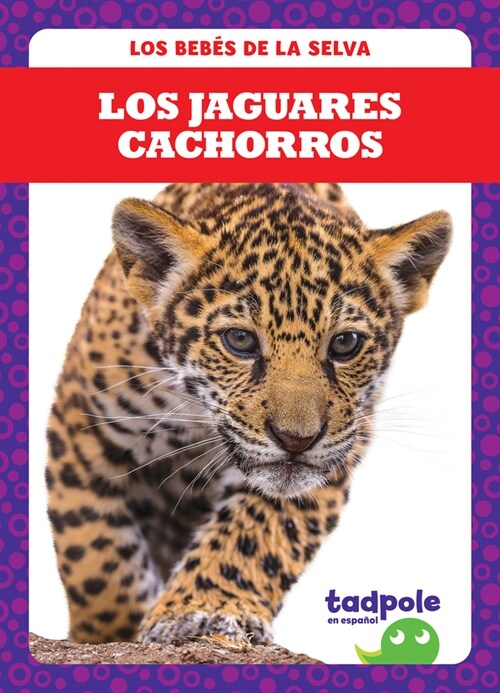 Los Jaguares Cachorros (Jaguar Cubs) (Library Binding)
