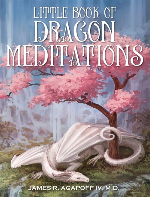 Little Book of Dragon Meditations (Hardcover)