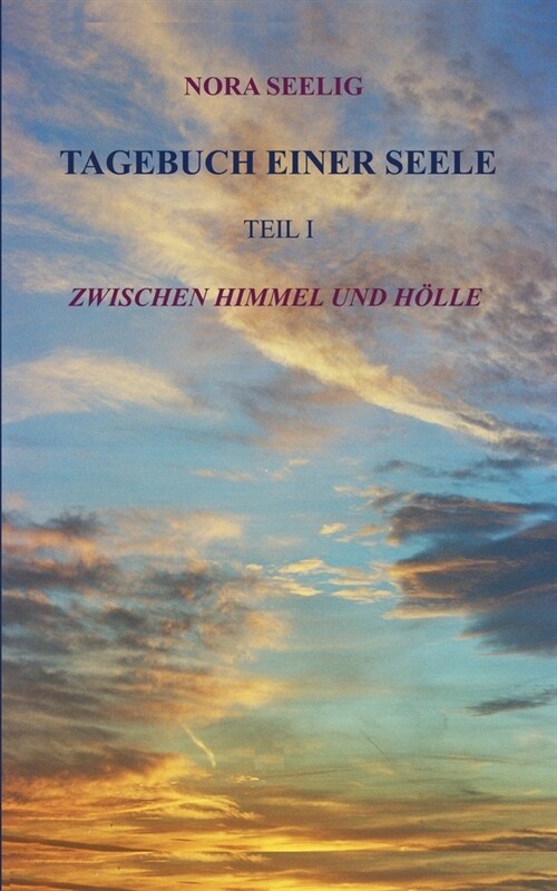 Tagebuch einer Seele: Zwischen Himmel und H?le (Paperback)
