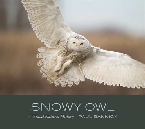 Snowy Owl: A Visual Natural History (Hardcover)