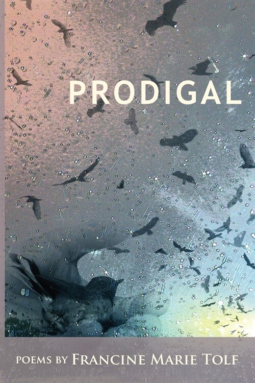 Prodigal (Paperback)
