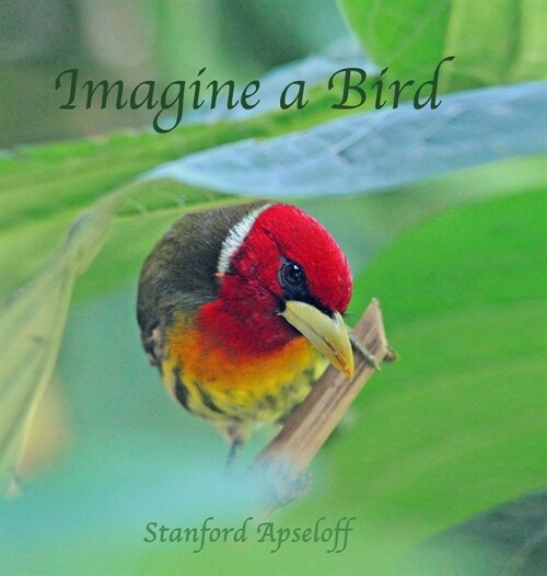 Imagine a Bird (Hardcover)
