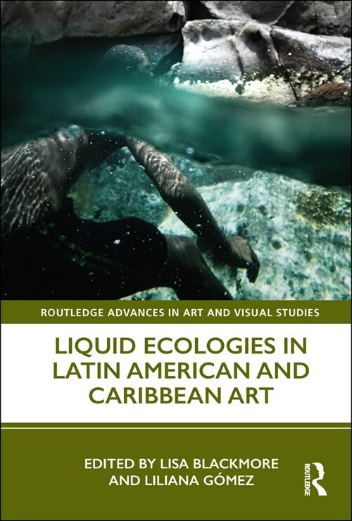 Liquid Ecologies in Latin American and Caribbean Art (Hardcover)
