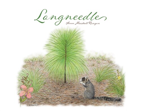 Longneedle (Paperback)