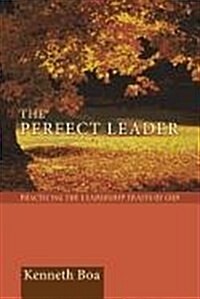 Perfect Leader: Practicing the Leadership Traits of God (Paperback)