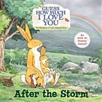 After the Storm (Paperback)