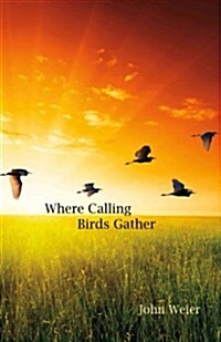 Where Calling Birds Gather (Paperback)