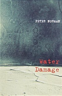 Water Damage (Paperback)