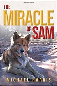The Miracle of Sam (Paperback)
