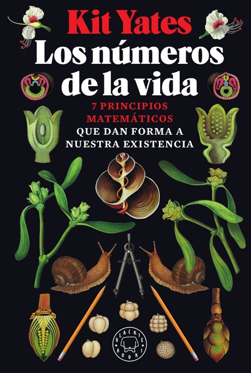 NUMEROS DE LA VIDA,LOS (Book)