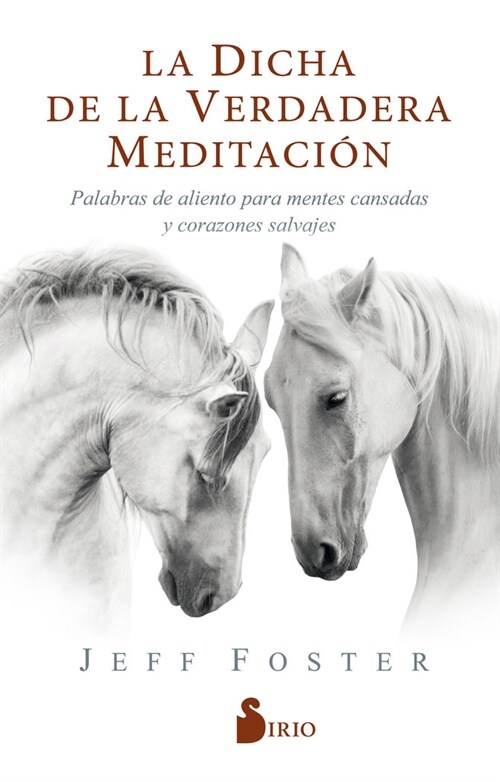 LA DICHA DE LA VERDADERA MEDITACION (Paperback)