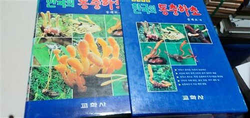 [중고] 한국의 동충하초