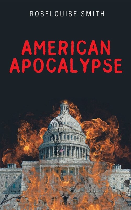 American Apocalypse (Paperback)
