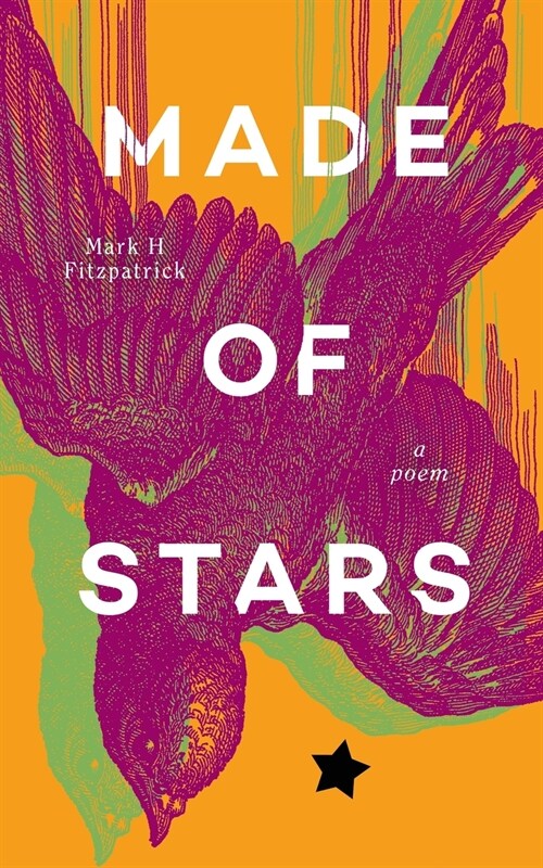 Made of Stars: a poem (Paperback)